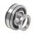 Rear Axle Bearings