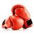 Boxing Equipment