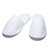 Terry Slipper
