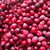 Cranberry Extract