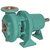 Cast Iron Feed Pump