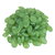 Green Pebbles