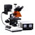 Fluorescence Microscopes