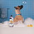 Pet Shampoo