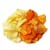 Baked Chips