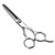 Salon Scissor