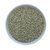 Bajra Seeds