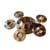 Copper Nickel Flanges