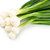 Natural Green Onions