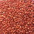 Fodder Seeds