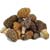 Morel Mushroom