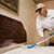 Bed Bugs Pest Control Services