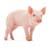 Piglets