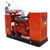 Biomass Generator