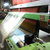 Somet Loom