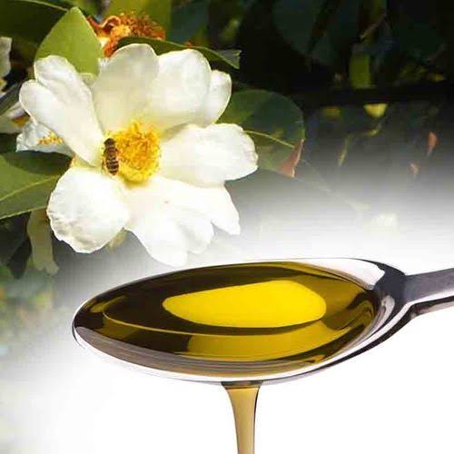Camellia Oil