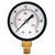 Stainless Steel Pressure Gauge