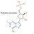 Fludarabine Phosphate