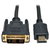 Dvi Cable
