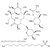 Erythromycin Estolate