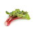 Rhubarb Extract