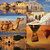 Rajasthan Tour Packages