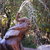 Elephant Fountain