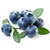 Blueberry Extract