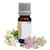 Valerian Oil