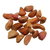 Petunia Seeds