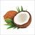 Fresh Coconut