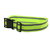 Reflective Belt