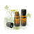 Fennel Oil