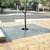 Tree Grating