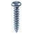 Galvanized Screw