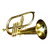 Musical Horns