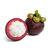 Mangosteen