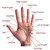 Palmistry Consultancy