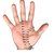 Palmistry Expert