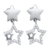 Star Earring