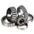 Antifriction Bearing