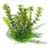 Aquarium Plants