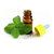 Peppermint Oil