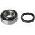 Rear Wheel Axle Bearing