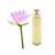 Lotus Fragrance