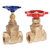 Hose Valves