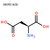 Orotic Acid