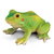 Frog Toy