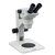 Stereoscopic Microscope