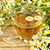 Chamomile Extract